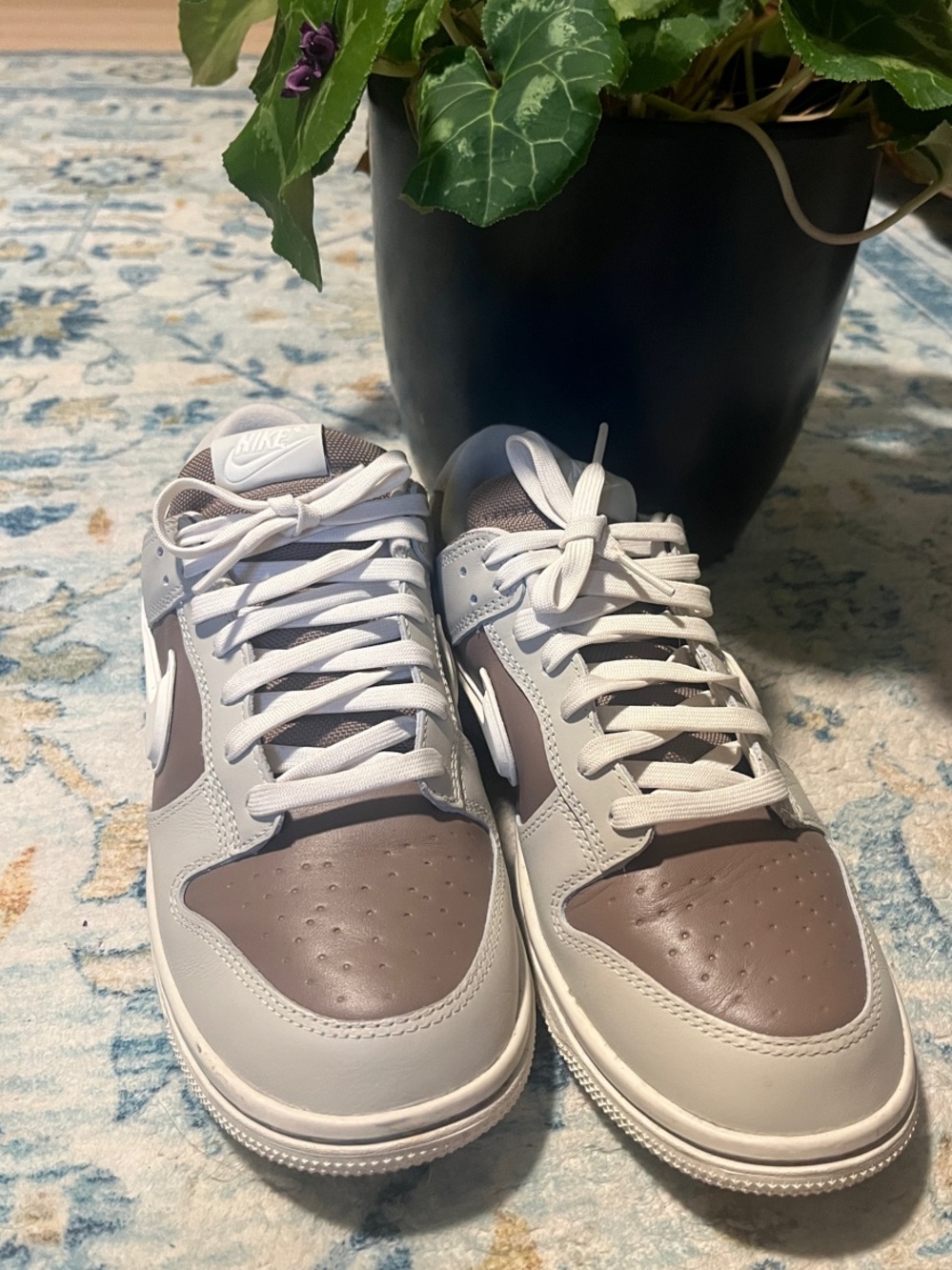 Nike Dunk Men’s Low-Top Sneakers in White and Taupe- Goretex